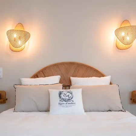 Nuits D'audace Bed & Breakfast Alès